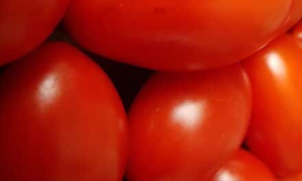 4-congiuntiviti da alimenti: istamina e alimenti da evitare