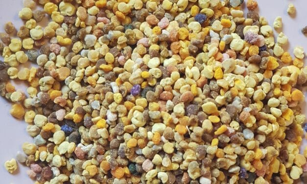 Pappa reale e Polline: rimedi naturali per l’occhio secco