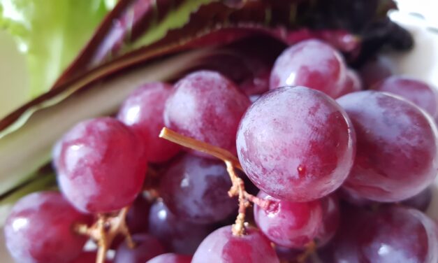 Vino cacao occhi e pistacchi
