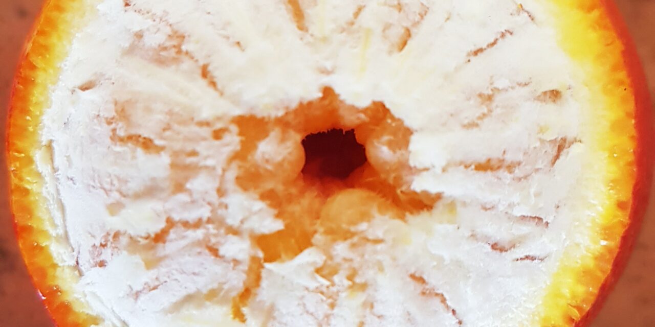 Dieta e alimenti per gli occhi: stress ossidativo