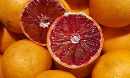 Dieta e alimentazione occhio secco