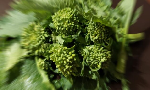 Alimentazione microbiota intestinale e salute degli occhi