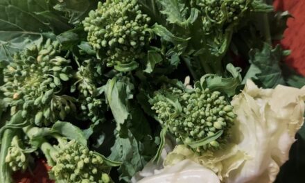 Dieta priva di istamina per congiuntiviti allergiche alimentari