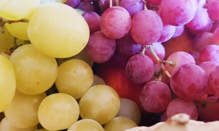 Cure naturali per occhi: la quercetina