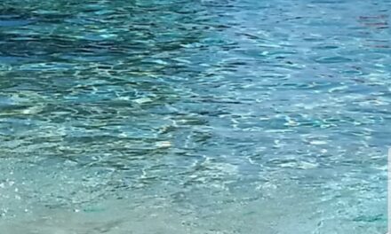 Occhi rossi in piscina: cause, rimedi e cosa fare